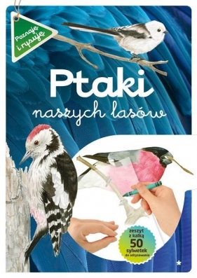 Ptaki naszych lasów Część 1 - Kopiec-Sekieta Katarzyna, Maternicka Grażyna