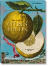 J. C. Volkamer. The Book of Citrus Fruits Iris Lauterbach
