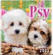 Kalendarz 2023 Wieloplanszowy Psy ARTSEZON