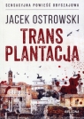 Transplantacja  Jacek Ostrowski