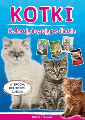 Kotki. Koloruję i rysuję po śladzie - Myślak Monika