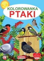 Kolorowanka. Ptaki - Żukowski Jarosław