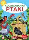 Kolorowanka. Ptaki Żukowski Jarosław