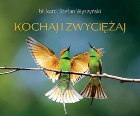 Perełka 235 - Kochaj i zwyciężaj - Opracowanie zbiorowe