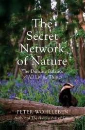 Secret Network of Nature - Wohlleben Peter