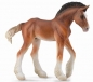 Źrebię Clydesdale Bay M (004-88625)