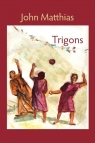 Trigons Matthias John