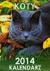 Kalendarz 2014 Koty - <br />