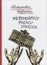 Metamorfozy Pałacu Staszica Wójtowicz Aleksandra