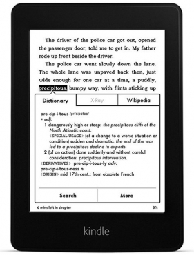 Kindle Paperwhite 2 4GB - <br />