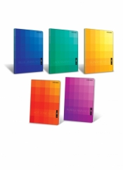 ZESZ TOP 2000 SHADES ZSZY A4 96 KARTEK 70G KRATKA Z MARG.400091132