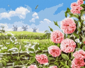 Malowanie po numerach - Delikatność pól 40x50cm