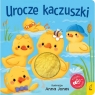 Naciśnij brzuszek Urocze kaczuszki