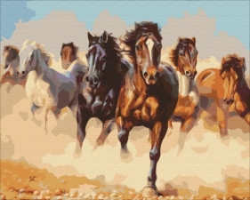 Obraz Malowanie po numerach - Konie w galopie (BS8945)