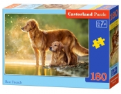Puzzle 180: Best Friends