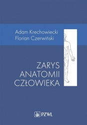 Zarys anatomii człowieka - Krechowiecki Adam, Czerwiński Florian