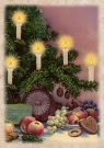 <img src='https://webimage.pl/pics/254/1/d7340228001254.jpg' width='353' height='500'> Karnet ST486 B6 + koperta Choinka ze świeczkami