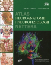 Atlas neuroanatomii i neurofizjologii Nettera