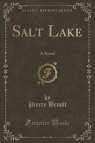 Salt Lake A Novel (Classic Reprint) Beno?t Pierre