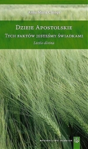 Dzieje apostolskie Tych faktów jesteśmy świadkami