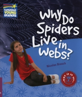 Why Do Spiders Live in Webs? - Brasch Nicolas