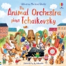 The Animal Orchestra Plays Tchaikovsky wer. angielska Sam Taplin, Ag Jatkowska