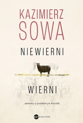 Niewierni wierni. Rozmowy o prawdziwym Kościele - Kazimierz Sowa