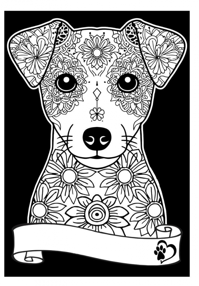 Kolorowanka Welwetowa A4 Jack Russell Terrier