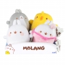 Molang: plusz podstawowy (L66025) mix wzorów