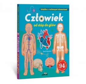 Człowiek od stóp do głów. Książka z ruchomymi elementami - David Hawcock