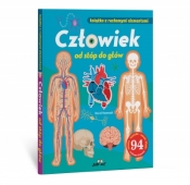 Człowiek od stóp do głów. Książka z ruchomymi elementami - David Hawcock