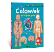 Człowiek od stóp do głów Książka z ruchomymi elementami - David Hawcock