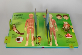 Człowiek od stóp do głów Książka z ruchomymi elementami - David Hawcock