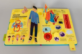 Człowiek od stóp do głów Książka z ruchomymi elementami - David Hawcock