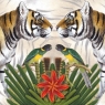 Karnet kwadrat z kopertą Bengal TigerNHH 325