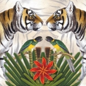 Karnet kwadrat z kopertą Bengal Tiger