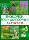 Encyklopedia roślin ogrodowych Aranżacje