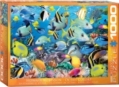 Puzzle 1000: Kolory oceanu (6000-0625)