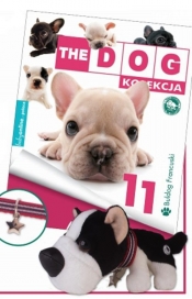 Th Dog Buldog francuski - <br />