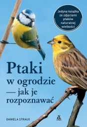 Ptaki w ogrodzie - jak je rozpoznawać - Strauss Daniela