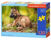 Puzzle 120: Puppy in the Forest