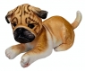  Pies mops