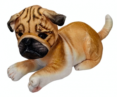 Pies mops