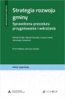 Strategia rozwoju gminy. Sprawdzona procedura przygotowania i wdrażania + wzory do pobrania