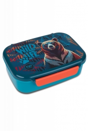 Coolpack, Śniadaniówka z przegródką Foodyx - Bear (Z18968)