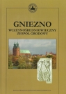 Gniezno wczesnośredniowieczny zespół grodowy