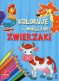 Koloruję i naklejam. Zwierzaki (0259) - Opracowanie zbiorowe