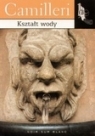 Kształt wody