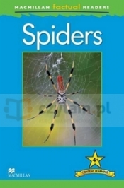 MFR 4: Spiders