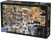 Puzzle 1000: Koty